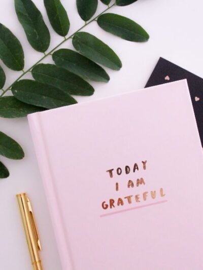 Éducation/Formation