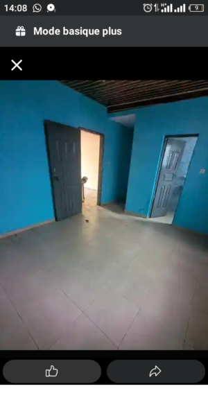 Cour unique bien propre