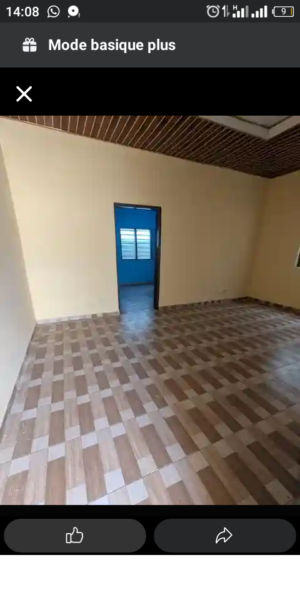 Cour unique bien propre